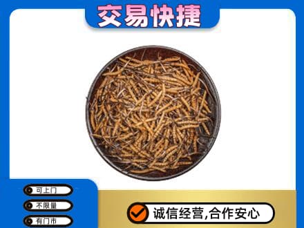 观山湖回收散虫草